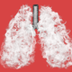 Illustration for article titled What Ever Happened to the Vaping Lung Disease?